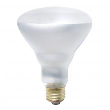 Standard Products 59235 - INCANDESCENT LONG LIFE AND ROUGH SERVICE LAMPS / MED BASE E26 / 65W / 120V Standard
