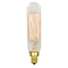Standard Products 62411 - INCANDESCENT SPECIALTY LAMPS T8 / MED BASE E26 / 40W / 120V Standard