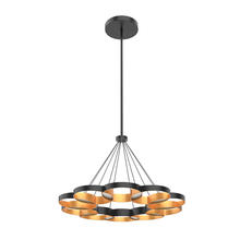 Kuzco Lighting Inc CH90833-BK/GD - Maestro Chandeliers